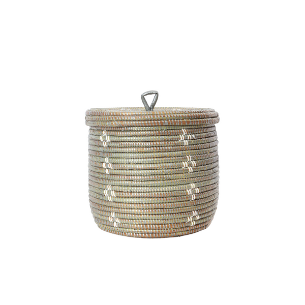 Lidded Storage Container